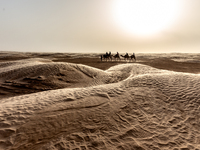 Tourists ride on camels in a caravan on dunes of Eastern Sahara desert on a sunny day on October 30, 2024 near Douz, Tunisia. (