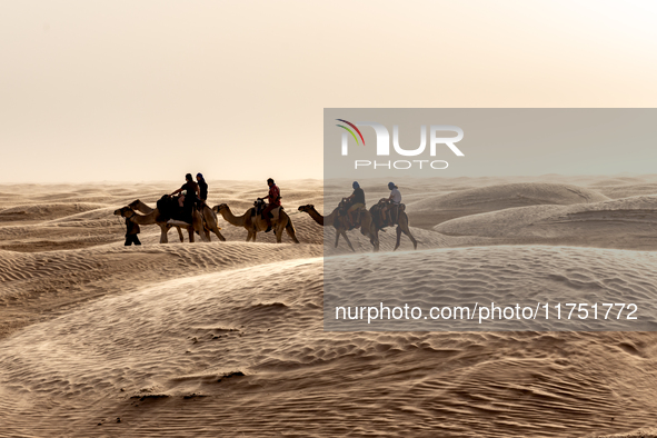 Tourists ride on camels in a caravan on dunes of Eastern Sahara desert on a sunny day on October 30, 2024 near Douz, Tunisia. 