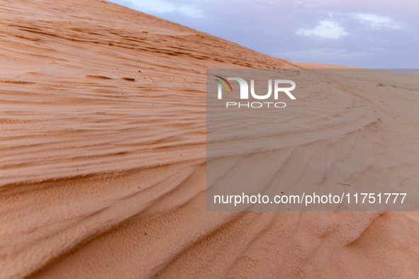 Dunes of Eastern Sahara desert are seen on a sunny day on October 30, 2024 near Douz, Tunisia. 