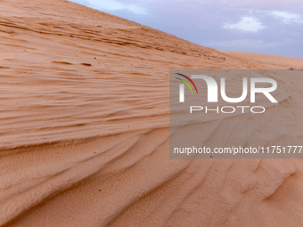 Dunes of Eastern Sahara desert are seen on a sunny day on October 30, 2024 near Douz, Tunisia. (