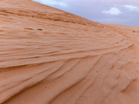 Dunes of Eastern Sahara desert are seen on a sunny day on October 30, 2024 near Douz, Tunisia. (