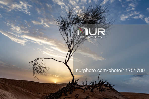 Sunset is seen over dunes of Eastern Sahara desert on on October 30, 2024 near Douz, Tunisia. 