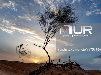 Sunset is seen over dunes of Eastern Sahara desert on on October 30, 2024 near Douz, Tunisia. (