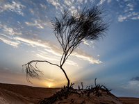 Sunset is seen over dunes of Eastern Sahara desert on on October 30, 2024 near Douz, Tunisia. (