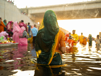 Hindu devotees perform rituals and offer prayers at sunset on the banks of the River Sabarmati during the Chhath Puja festival in Ahmedabad,...