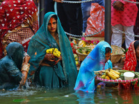 Hindu devotees perform rituals of the 'Chhath Puja' festival at the Shrine Galta Ji temple Kund in Jaipur, Rajasthan, India, on November 7,...