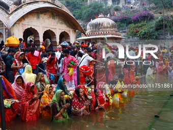 Hindu devotees perform rituals of the 'Chhath Puja' festival at the Shrine Galta Ji temple Kund in Jaipur, Rajasthan, India, on November 7,...