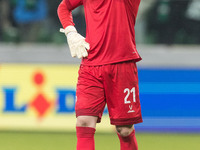 Fedor Lapoukhov  during UEFA Conference League match Legia Warsaw vs Dinamo Minsk in Warsaw Poland on 7 November 2024. (