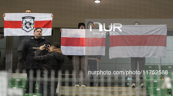 Dinamo fans during UEFA Conference League match Legia Warsaw vs Dinamo Minsk in Warsaw Poland on 7 November 2024. 