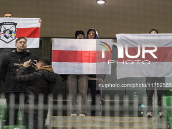 Dinamo fans during UEFA Conference League match Legia Warsaw vs Dinamo Minsk in Warsaw Poland on 7 November 2024. (