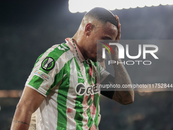 Natan Bernardo de Souza of Real Betis lies injured on the field during the UEFA Conference League 2024/25 League Phase MD3 match between Rea...