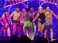 American singer Alecia Beth Moore, known as P!nk, performs on stage as part of the Pink Summer Carnival Tour 2024 at Globe Life Field in Arl...