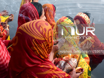 Hindu women worship the Sun god in the early morning during the religious festival of Chhath Puja at a pond in Kolkata, India, on November 8...