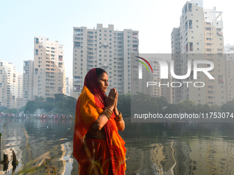 A Hindu woman worships the Sun god in the early morning during the religious festival of Chhath Puja at a pond in Kolkata, India, on Novembe...