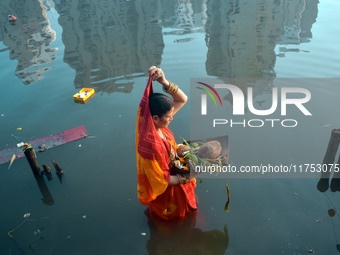 A Hindu woman worships the Sun god in the early morning during the religious festival of Chhath Puja at a pond in Kolkata, India, on Novembe...