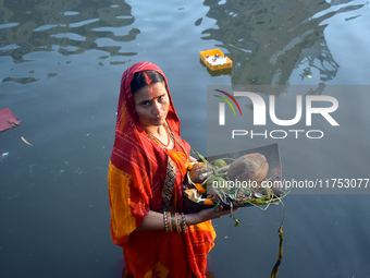 A Hindu woman worships the Sun god in the early morning during the religious festival of Chhath Puja at a pond in Kolkata, India, on Novembe...