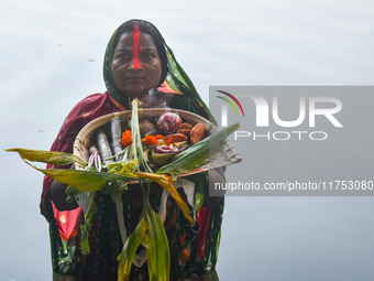 A Hindu woman worships the Sun god in the early morning during the religious festival of Chhath Puja at a pond in Kolkata, India, on Novembe...