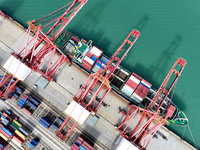 Cargo ships stop at their berths to load and unload containers at the container terminal in Lianyungang Port in Lianyungang, China, on Novem...