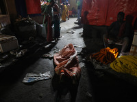 A Hindu devotee lies on the road as she worships the Sun god at dawn on the banks of the river Ganges during the last day of the Hindu relig...