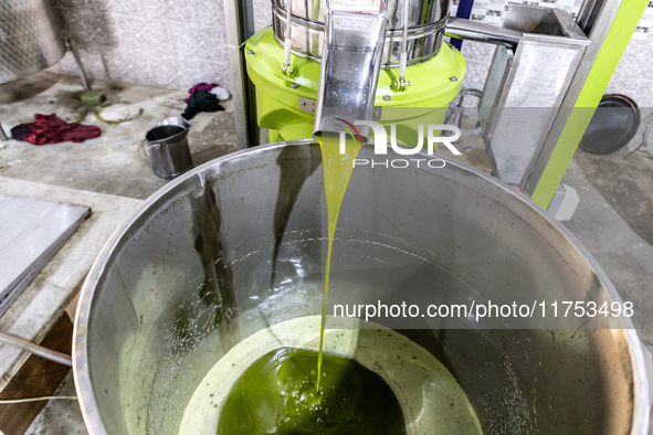 A small manufacture of pressed olive oil is seen in Tozeur, central Tunisia on October 27, 2024. Tunisia is well known for its natural and f...