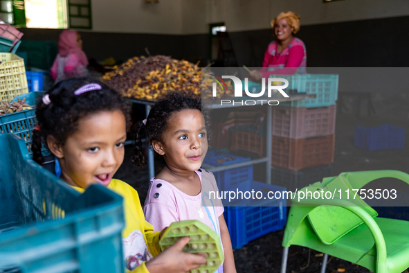 Girls and women are seen preparing dates for sale in Tozeur, central Tunisia on October 28, 2024. Tunisia is well known for its natural and...