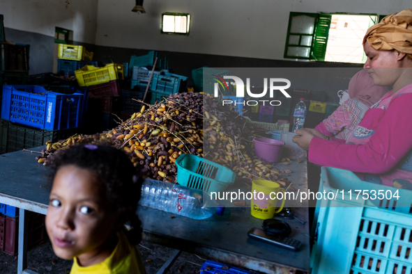 Girls and women are seen preparing dates for sale in Tozeur, central Tunisia on October 28, 2024. Tunisia is well known for its natural and...