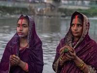 Hindu devotees perform rituals and offer prayers to the rising Sun God on the banks of the Bagmati River during the 'Chhath Puja' festival i...