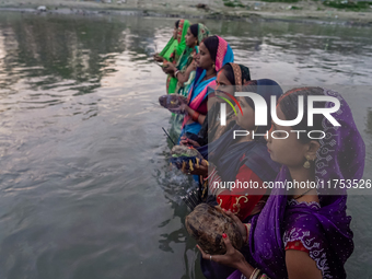 Hindu devotees perform rituals and offer prayers to the rising Sun God on the banks of the Bagmati River during the 'Chhath Puja' festival i...