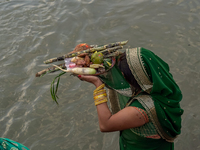 Hindu devotees perform rituals and offer prayers to the rising Sun God on the banks of the Bagmati River during the 'Chhath Puja' festival i...