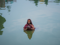 Devotees worship the rising sun in Kamalpokhari, Bhaktapur, on the last day of the Chhath Festival. Chhath is a Hindu festival dedicated to...