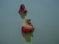 Devotees worship the rising sun in Kamalpokhari, Bhaktapur, on the last day of the Chhath Festival. Chhath is a Hindu festival dedicated to...