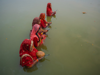 Devotees worship the rising sun in Kamalpokhari, Bhaktapur, on the last day of the Chhath Festival. Chhath is a Hindu festival dedicated to...