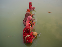 Devotees worship the rising sun in Kamalpokhari, Bhaktapur, on the last day of the Chhath Festival. Chhath is a Hindu festival dedicated to...