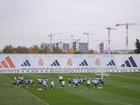 A general view of the training field during the Real Madrid training session and press conference ahead of the La Liga 2024/25 match against...