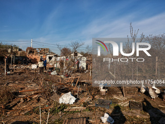 Geese are among the debris covering the yard of a house damaged by an overnight Russian drone attack in Odesa, Ukraine, on November 8, 2024....