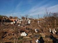 Geese are among the debris covering the yard of a house damaged by an overnight Russian drone attack in Odesa, Ukraine, on November 8, 2024....