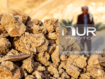 Rose of Desert stones are seen on a stand in Djebel el Negueb  mountains in Chebika Oasis in central Tunisia on October30, 2024. (