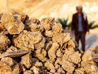 Rose of Desert stones are seen on a stand in Djebel el Negueb  mountains in Chebika Oasis in central Tunisia on October30, 2024. (