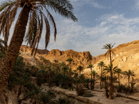 A view on Djebel el Negueb  mountain in Chebika Oasis in central Tunisia on October30, 2024. (