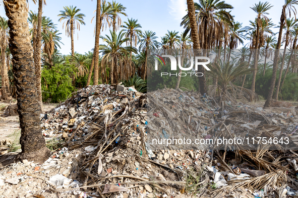 A pile of rubbish is seen in a palm park in Tozeur in central Tunisia on October 28, 2024. 