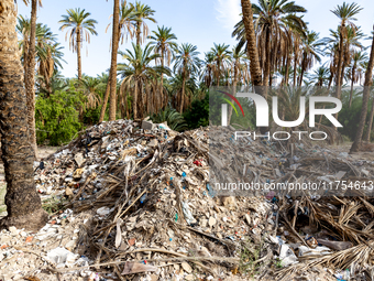 A pile of rubbish is seen in a palm park in Tozeur in central Tunisia on October 28, 2024. (