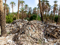 A pile of rubbish is seen in a palm park in Tozeur in central Tunisia on October 28, 2024. (