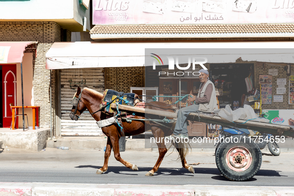 A man rides a horse cart in Tozeur in central Tunisia on October 28, 2024. 