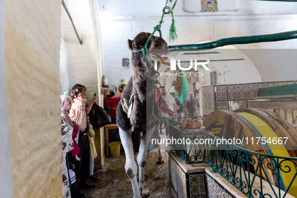 A camel lifts water from a well in an Old Town of Kairouan in central Tunisia on October30, 2024. 