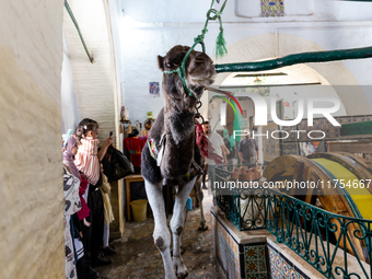 A camel lifts water from a well in an Old Town of Kairouan in central Tunisia on October30, 2024. (