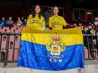 Fans of UD Las Palmas are seen during the La Liga EA Sports 2024/25 football match between Rayo Vallecano and UD Las Palmas at Estadio de Va...