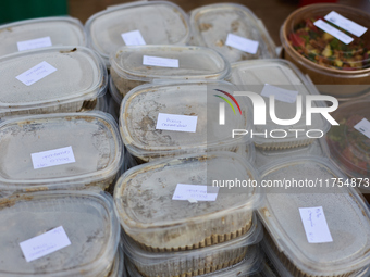 Volunteers deliver food in Benetusser, Spain, on november 08, 2024, due to the flood (