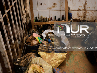 Encarna Jimenez is a victim of the flood in Benetusser, Spain, on november 08, 2024. (