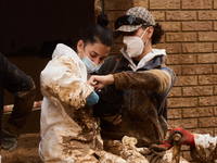 Devastating scenes occur during the Massanassa flood in Massanassa, Spain, on november 08,2024. (