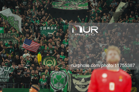 Panathinaikos fans are present during the warm-up for the Euroleague game between Panathinaikos and Olympiacos, with a final score of 89-94,...